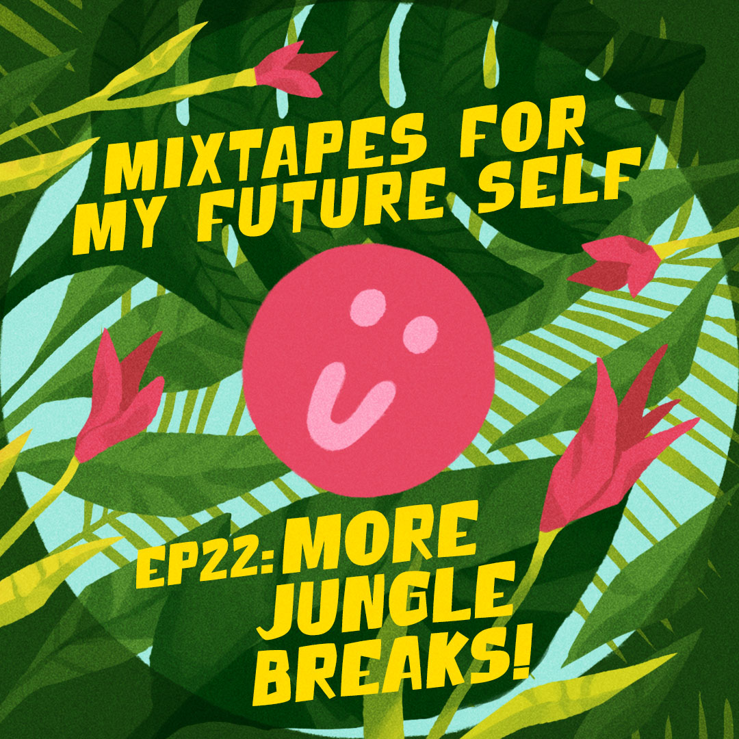 Mixtapes For My Future Self: EP 22 - MORE JUNGLE BREAKS - Me From The Past | MixtapeMonkey.com