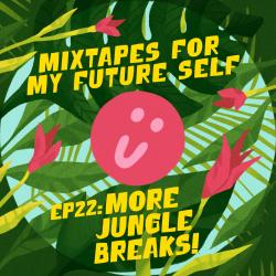 Mixtapes For My Future Self: EP 22 - MORE JUNGLE BREAKS - Me From The Past