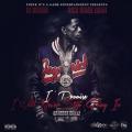 I Promise I Will Never Stop Going In - Rich Homie Quan