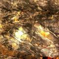 Instrumental Mixtape 3 - Clams Casino